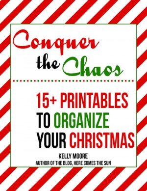 eBook Launch Day: Conquer the Chaos!