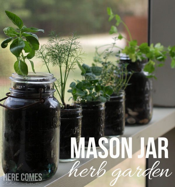 Create this Space Saving Mason Jar Herb Garden in Minutes!
