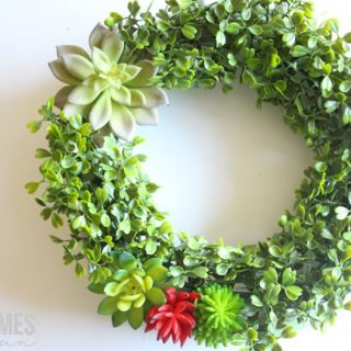 Create a gorgeous succulent and boxwood wreath with this easy tutorial!