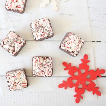 Chocolate Peppermint Squares