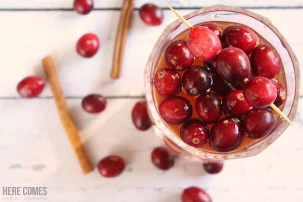 Slow Cooker Cranberry Punch